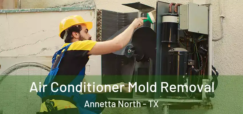 Air Conditioner Mold Removal Annetta North - TX