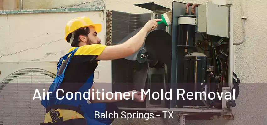  Air Conditioner Mold Removal Balch Springs - TX