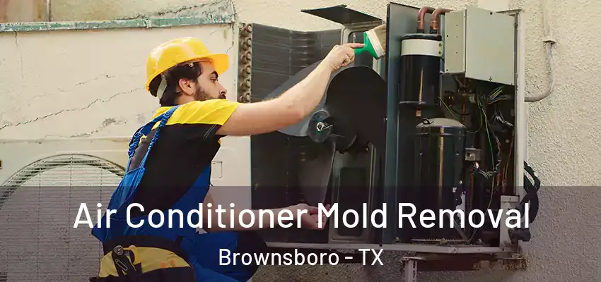 Air Conditioner Mold Removal Brownsboro - TX