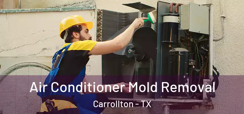  Air Conditioner Mold Removal Carrollton - TX