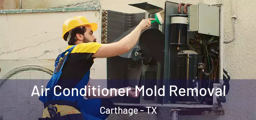 Air Conditioner Mold Removal Carthage - TX