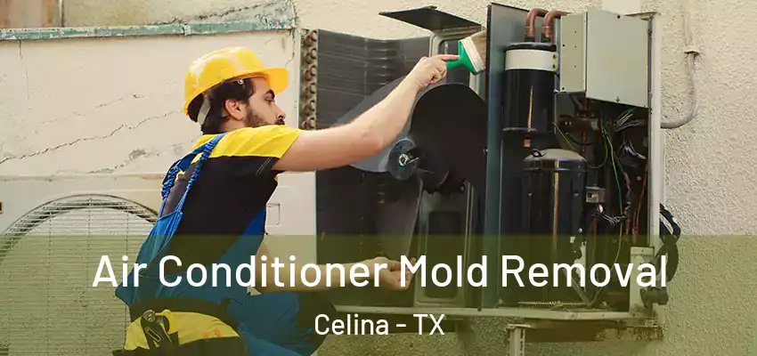  Air Conditioner Mold Removal Celina - TX