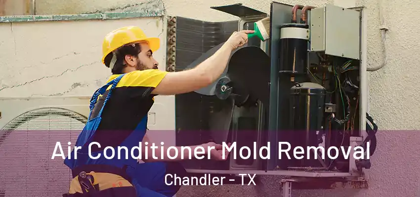 Air Conditioner Mold Removal Chandler - TX