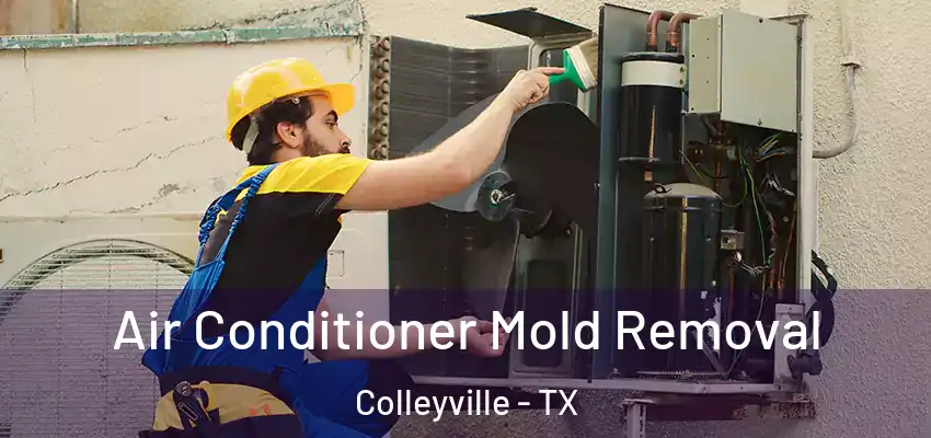  Air Conditioner Mold Removal Colleyville - TX