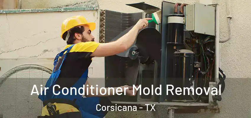 Air Conditioner Mold Removal Corsicana - TX