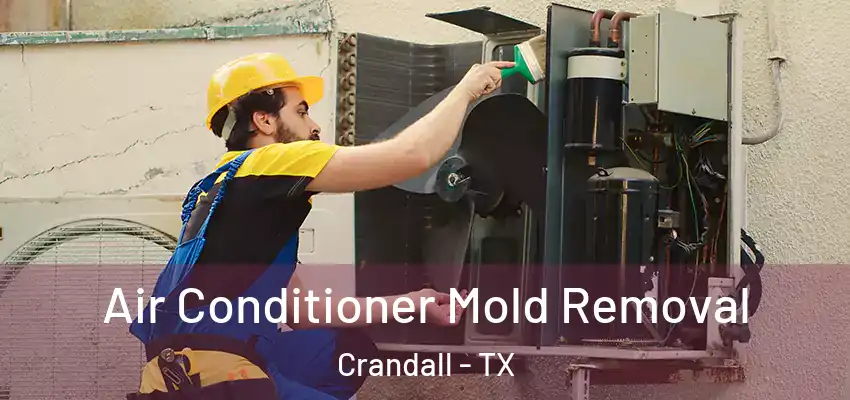 Air Conditioner Mold Removal Crandall - TX