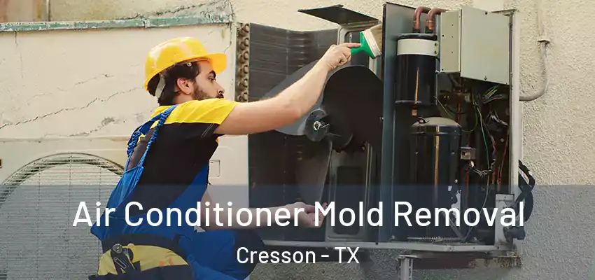  Air Conditioner Mold Removal Cresson - TX