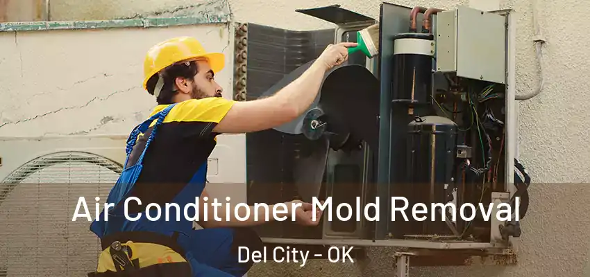  Air Conditioner Mold Removal Del City - OK