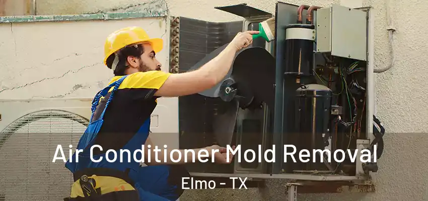 Air Conditioner Mold Removal Elmo - TX