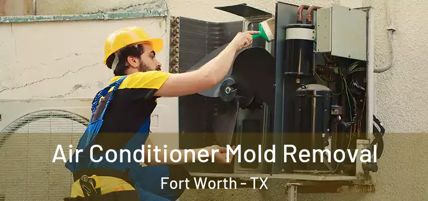  Air Conditioner Mold Removal Fort Worth - TX