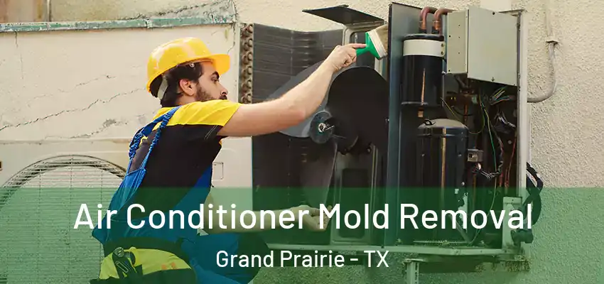  Air Conditioner Mold Removal Grand Prairie - TX