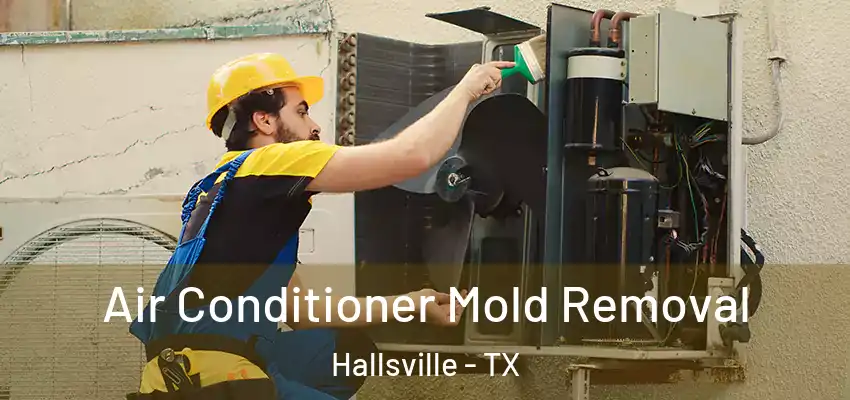  Air Conditioner Mold Removal Hallsville - TX