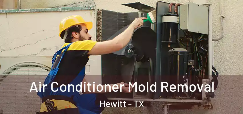  Air Conditioner Mold Removal Hewitt - TX