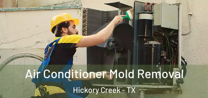Air Conditioner Mold Removal Hickory Creek - TX