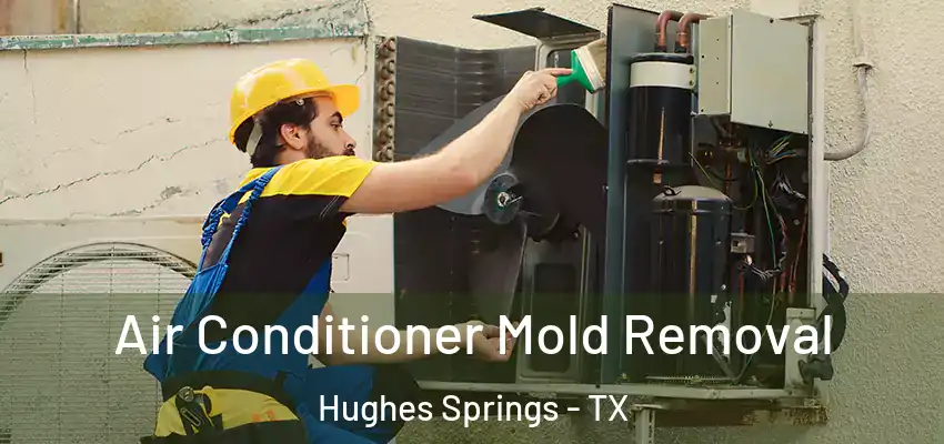  Air Conditioner Mold Removal Hughes Springs - TX