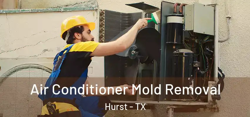  Air Conditioner Mold Removal Hurst - TX