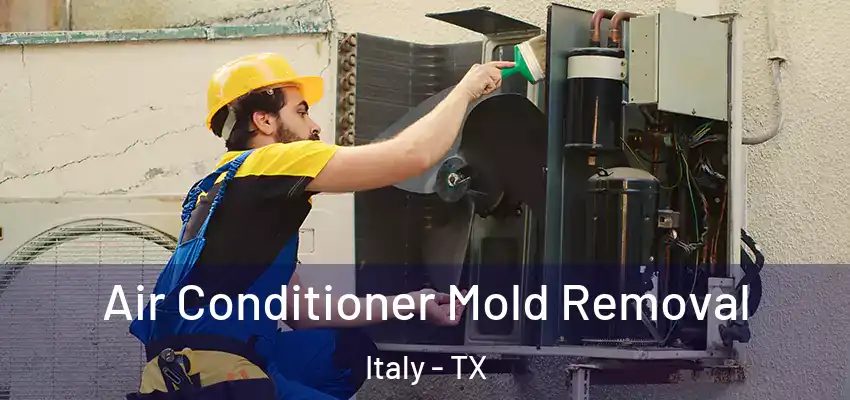 Air Conditioner Mold Removal Italy - TX