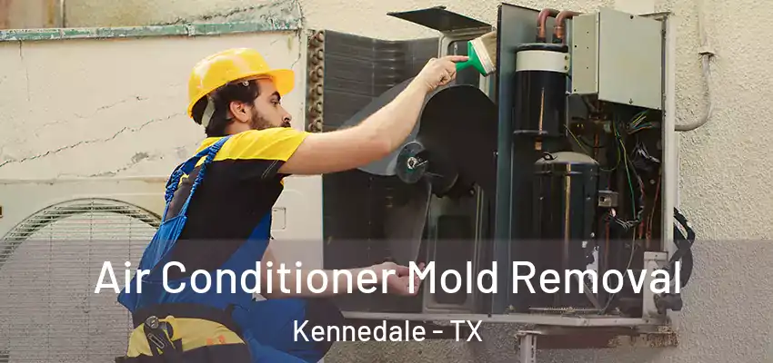 Air Conditioner Mold Removal Kennedale - TX