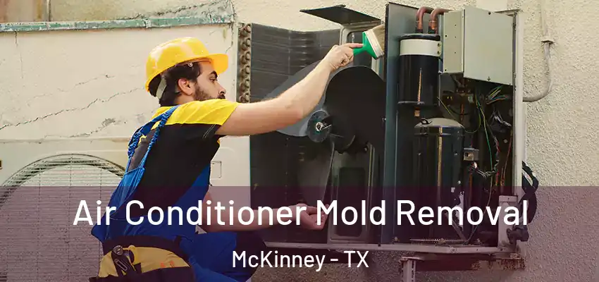 Air Conditioner Mold Removal McKinney - TX