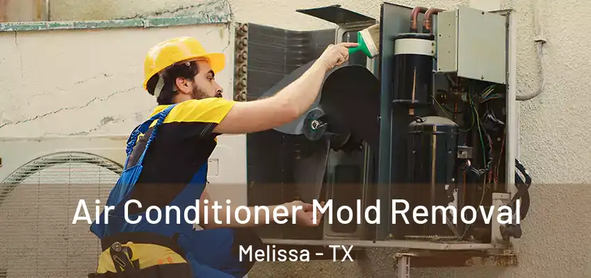 Air Conditioner Mold Removal Melissa - TX
