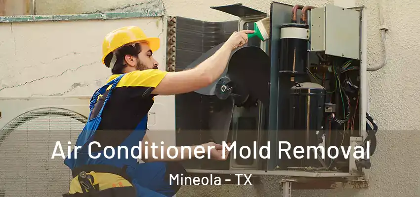  Air Conditioner Mold Removal Mineola - TX