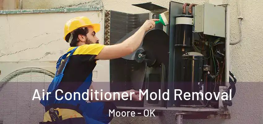 Air Conditioner Mold Removal Moore - OK