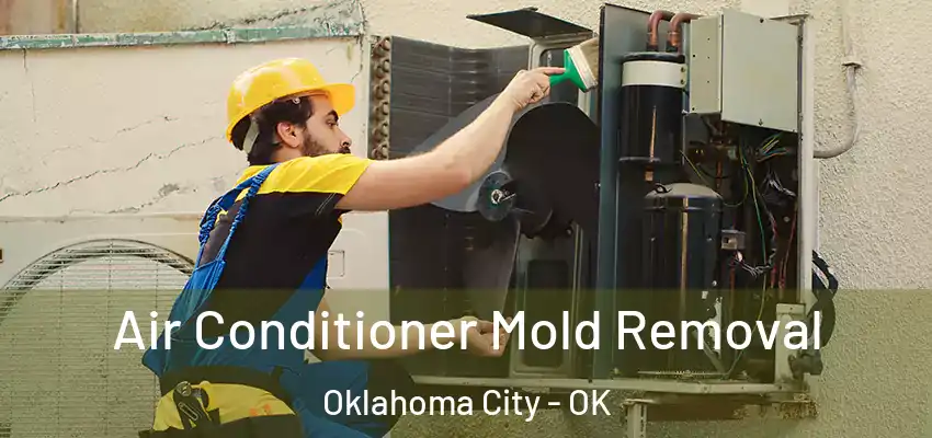  Air Conditioner Mold Removal Oklahoma City - OK