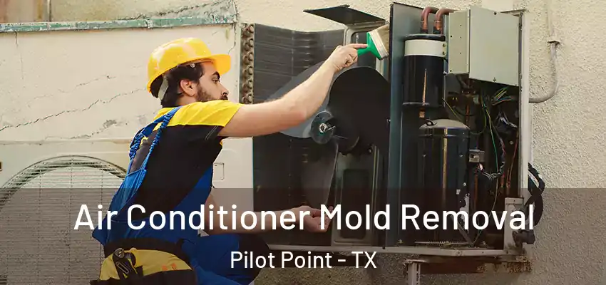  Air Conditioner Mold Removal Pilot Point - TX