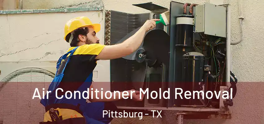  Air Conditioner Mold Removal Pittsburg - TX