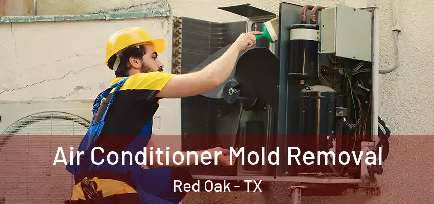  Air Conditioner Mold Removal Red Oak - TX