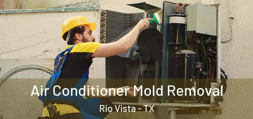  Air Conditioner Mold Removal Rio Vista - TX