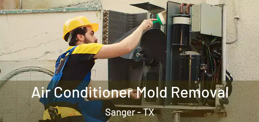  Air Conditioner Mold Removal Sanger - TX