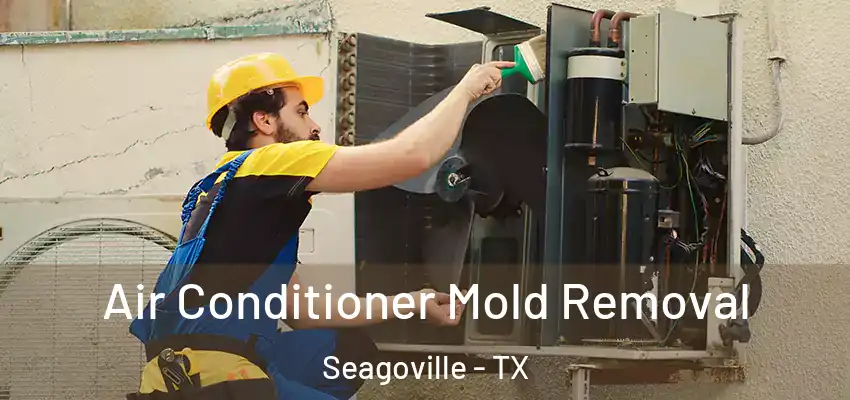  Air Conditioner Mold Removal Seagoville - TX
