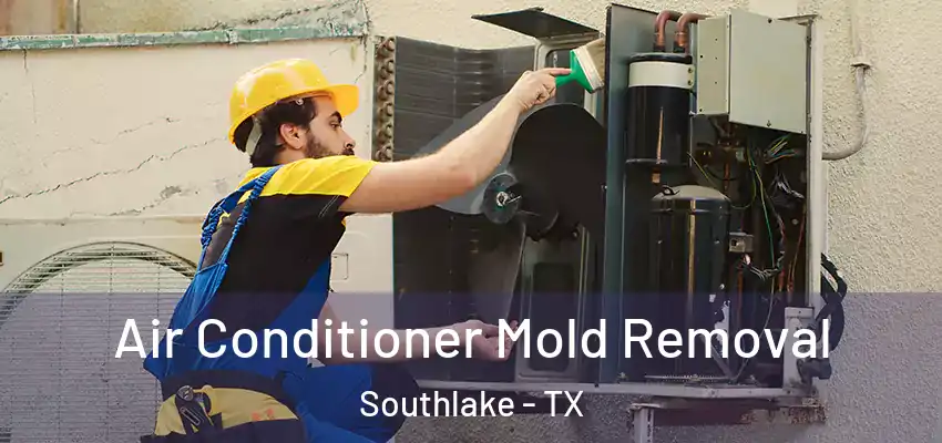 Air Conditioner Mold Removal Southlake - TX