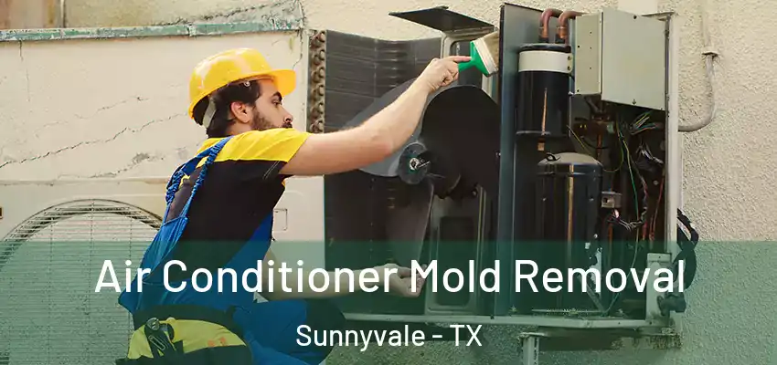  Air Conditioner Mold Removal Sunnyvale - TX