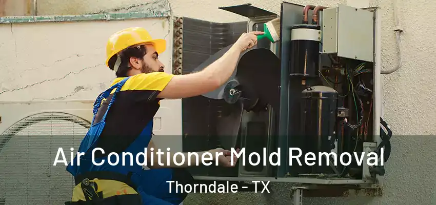 Air Conditioner Mold Removal Thorndale - TX