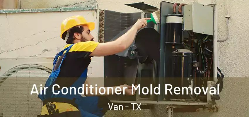  Air Conditioner Mold Removal Van - TX