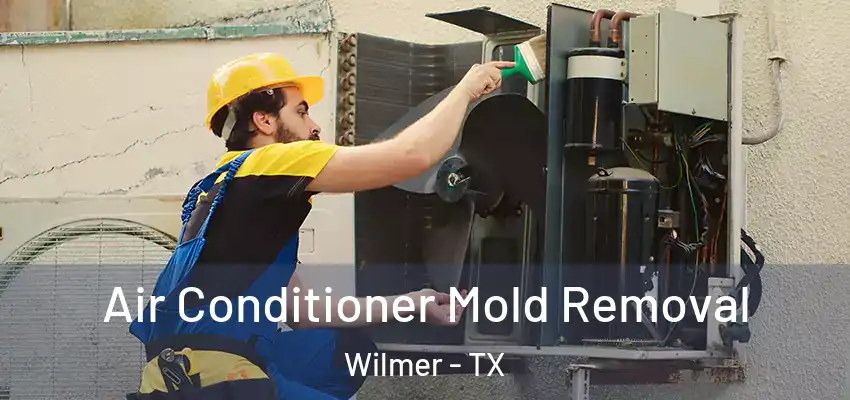  Air Conditioner Mold Removal Wilmer - TX