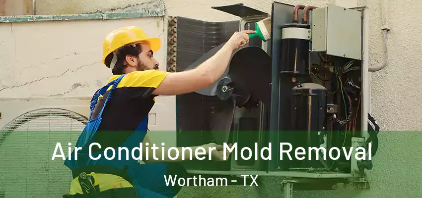 Air Conditioner Mold Removal Wortham - TX