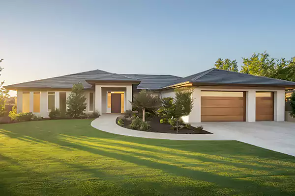 Mold Treatment in The Colony, TX