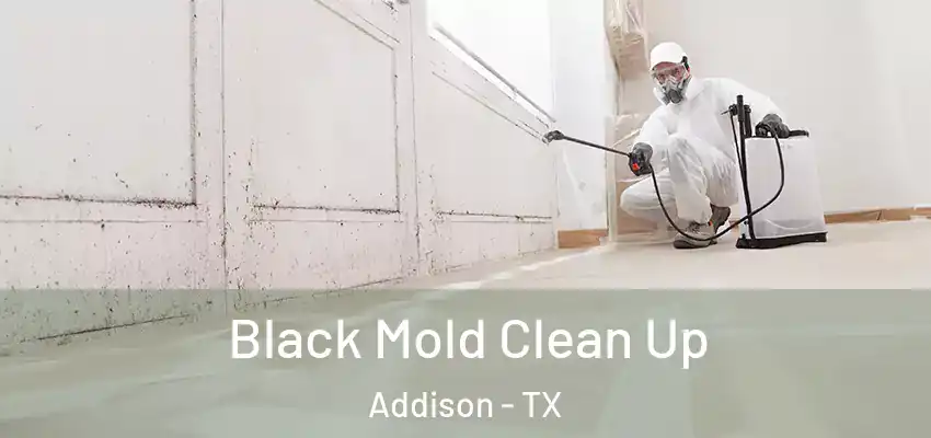  Black Mold Clean Up Addison - TX