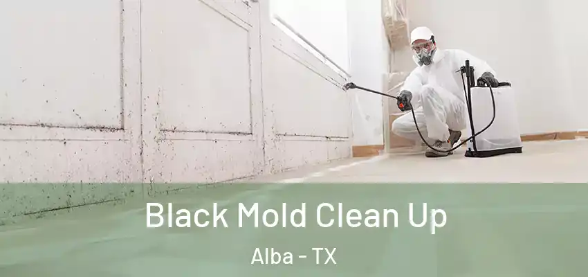  Black Mold Clean Up Alba - TX