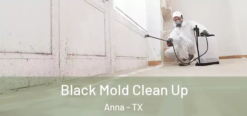  Black Mold Clean Up Anna - TX