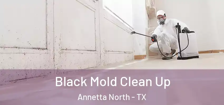  Black Mold Clean Up Annetta North - TX