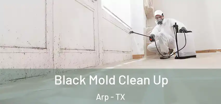  Black Mold Clean Up Arp - TX