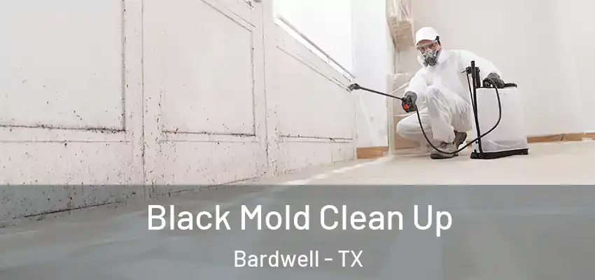 Black Mold Clean Up Bardwell - TX