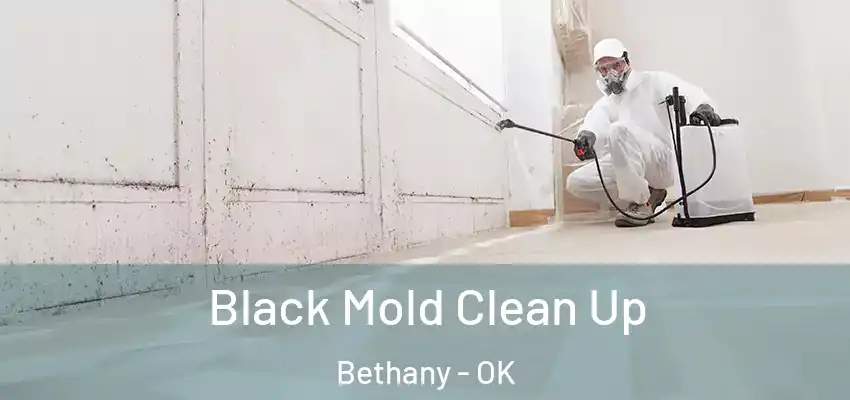 Black Mold Clean Up Bethany - OK