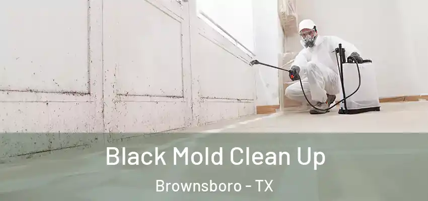 Black Mold Clean Up Brownsboro - TX