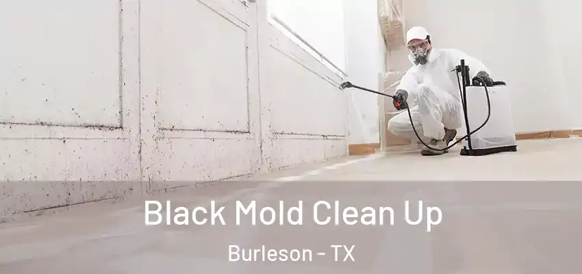  Black Mold Clean Up Burleson - TX