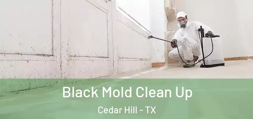 Black Mold Clean Up Cedar Hill - TX